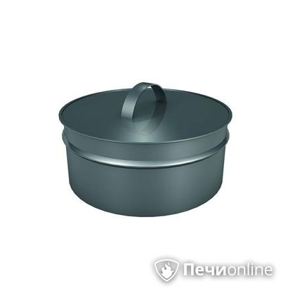 Заглушки Теплов и Сухов Заглушка ревизии Термо-Р 304 0.5 D250(150) в Архангельске