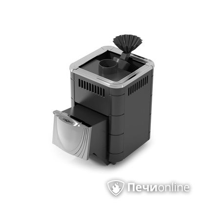 Дровяная печь-каменка TMF Гейзер Микра 2017 Inox ДН ЗК антрацит в Архангельске