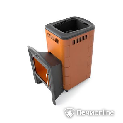 Дровяная печь-каменка TMF Тунгуска Cast Витра терракота в Архангельске