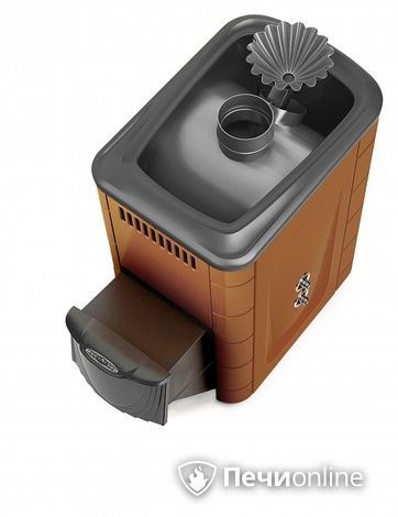 Дровяная банная печь TMF Ангара 2012 Inox ДА ЗК ТО терракота в Архангельске