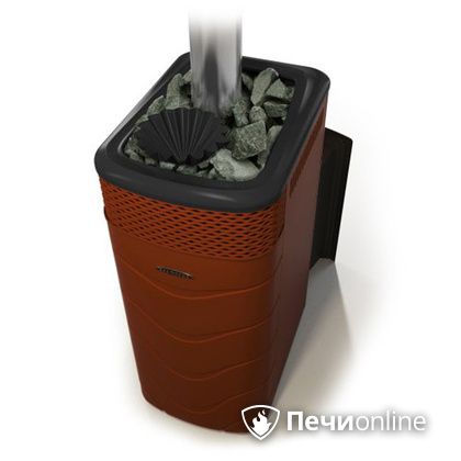 Дровяная банная печь TMF Гейзер XXL 2017 Inox Витра закрытая каменка терракота в Архангельске